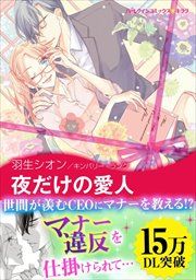 『夜だけの愛人【新装版】』の表紙