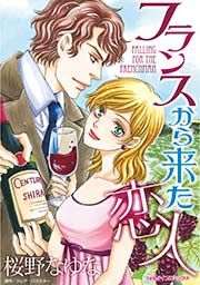 『フランスから来た恋人』の表紙
