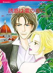 『誘惑は嵐の夜に【新装版】』の表紙