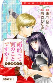 『婚約って何のことですか?』の表紙