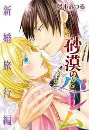 『砂漠のハレム 新婚旅行編』の表紙
