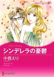 『シンデレラの憂鬱【新装版】』の表紙