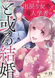 『出戻り女中と奇人学者のと或る結婚』の表紙