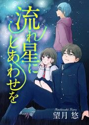 『流れ星にしあわせを』の表紙