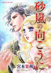 『砂嵐の向こうに』の表紙