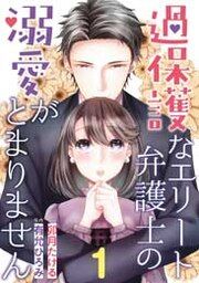 『過保護なエリート弁護士の溺愛がとまりません』の表紙