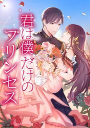 『君は僕だけのプリンセス』の表紙