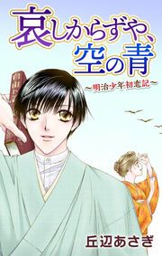 『哀しからずや、空の青～明治少年初恋記～』の表紙