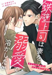 『鉄壁上司は妻を溺愛で溶かしたい～マリッジライフ・シミュレーション～』の表紙