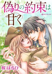 『偽りの約束は甘く』の表紙