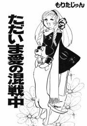 『ただいま愛の混戦中』の表紙