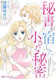 『秘書が宿した小さな秘密』の表紙