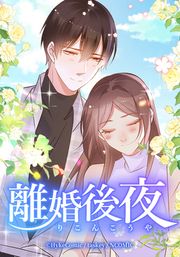『離婚後夜【タテヨミ】』の表紙