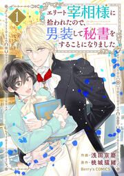 『エリート宰相様に拾われたので、男装して秘書をすることになりました』の表紙