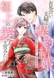 『お見合い夫婦は契約結婚でも極上の愛を営みたい~策士なドクターの溺愛本能~』の表紙