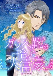 『ガラスの靴を拾った大富豪』の表紙