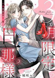 『3か月限定の旦那様~冷徹社長の甘い罠~』の表紙