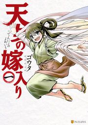 『天女の嫁入り』の表紙