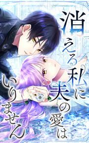 『消える私に夫の愛はいりません』の表紙