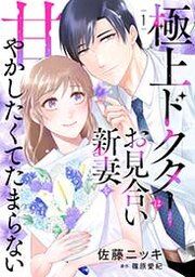 『極上ドクターはお見合い新妻を甘やかしたくてたまらない』の表紙