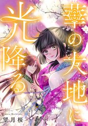 『華の大地に光降る』の表紙