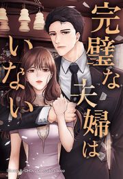 『完璧な夫婦はいない【タテヨミ】』の表紙