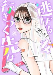 『逃げる女の行きつく先は』の表紙
