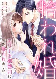 『拾われ婚 エリート御曹司に突然娶られました』の表紙