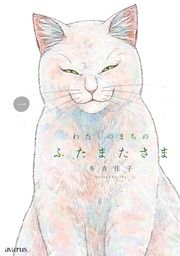 『わたしのまちのふたまたさま』の表紙