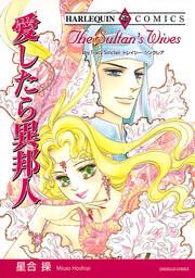『愛したら異邦人【新装版】』の表紙