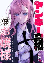 『ヤンキー高校にお嬢様』の表紙