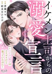 『イケメン上司からの溺愛宣言～ハイスペ男子はコリゴリだと思っていたのに～』の表紙