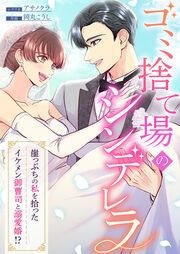 『ゴミ捨て場のシンデレラ ～崖っぷちの私を拾ったイケメン御曹司と溺愛婚!?～』の表紙