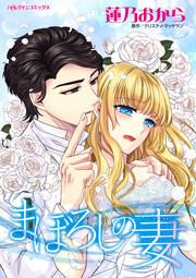 『まぼろしの妻【新装版】』の表紙