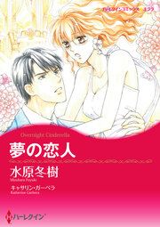 『夢の恋人【新装版】』の表紙