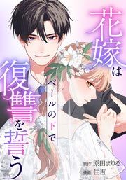 『花嫁はベールの下で復讐を誓う』の表紙
