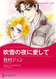 『吹雪の夜に愛して【新装版】』の表紙