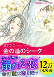 『金の瞳のシーク【新装版】』の表紙