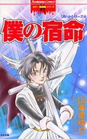 『リセットシリーズ4～僕の宿命～』の表紙