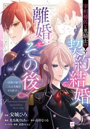 『宰相補佐と黒騎士の契約結婚と離婚とその後 ～辺境の地で二人は夫婦をやり直す～』の表紙