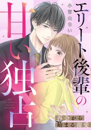 『エリート後輩の甘い独占～再会から始まる溺愛～』の表紙