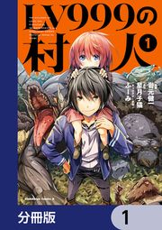 『LV999の村人【分冊版】』の表紙