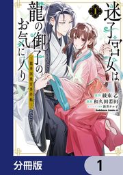 『迷子宮女は龍の御子のお気に入り【分冊版】』の表紙