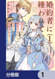 『婚約者に嫌われているようなので離れてみたら、なぜか抗議されました【分冊版】』の表紙