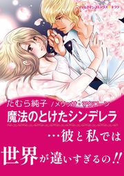 『魔法のとけたシンデレラ【新装版】』の表紙