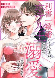 『利害一致婚のはずですが、ホテル王の一途な溺愛に蕩かされています(分冊版)』の表紙