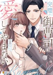『完璧御曹司はウブな許嫁を愛してやまない』の表紙