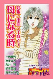 『妊娠・出産・子育て・・・母になる時』の表紙