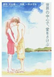 『世界の中心で、愛をさけぶ』の表紙