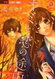 『キミと恋の途中』の表紙